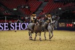 Quadrille - 00882
